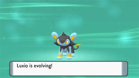 how to evolve luxio|Pokémon Brilliant Diamond/Shining Pearl: How to Evolve Luxio.
